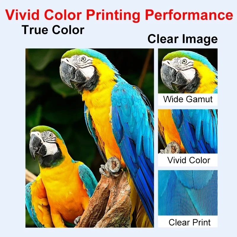 product-800-800